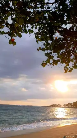 Melukis Senja

