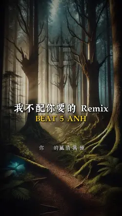 我不配你要的 Remix