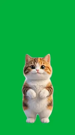Cat dancing
