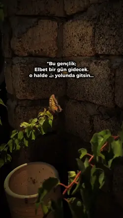 Allah yolunda gitsin