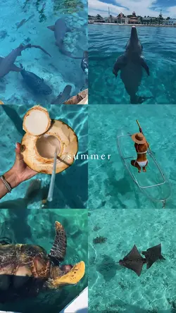 Summer 