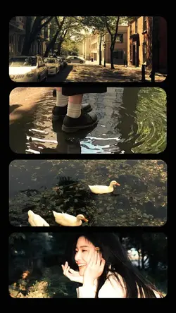 Collage 4 pict