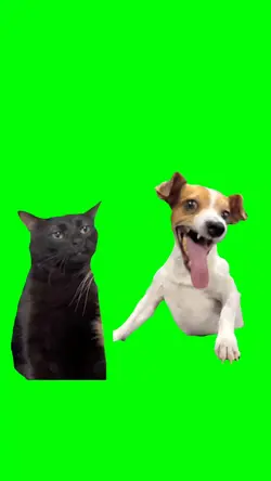 anjing dan kucing 