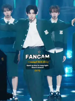 FANCAM