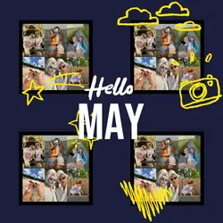 Hello May