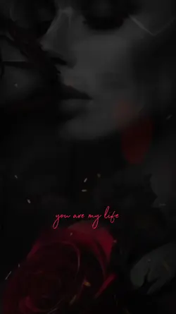Stay