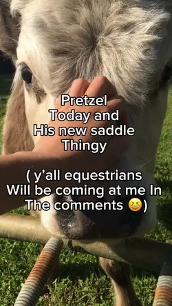 Pretzel 🥨 