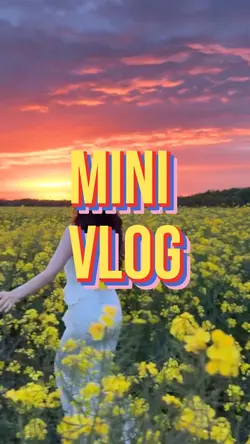 Mini Vlog