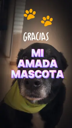 Mi amada mascota