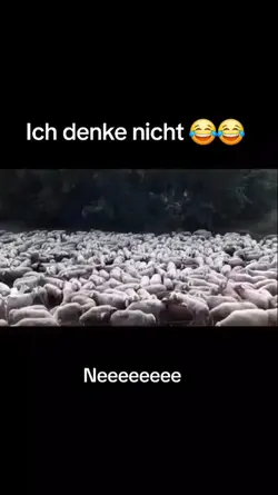 Arbeiten