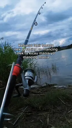 Mancing Mania