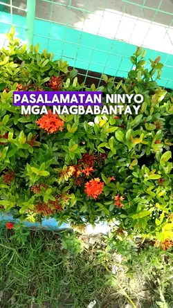Libre na Cctv