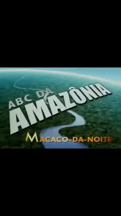 Macaco da noite