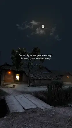 Province Night