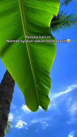 Pesona hari ini