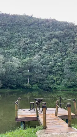Cinematic no musik