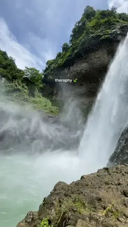 therapy