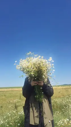 filter estetik