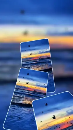 13 videos or photos 