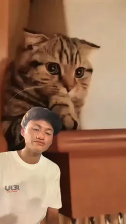 Kencana yo kencana