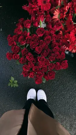red - taylor 