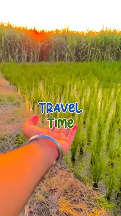 Travel