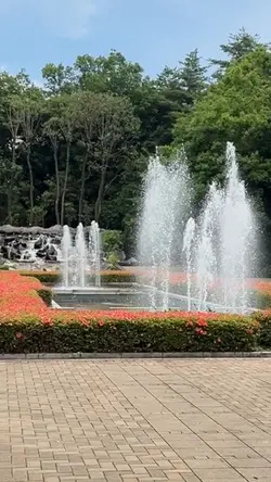 夏の休み