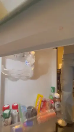 Fridge videos 
