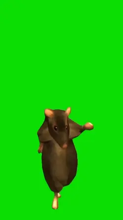 mouse dance