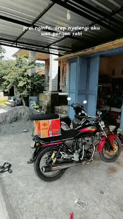 pengen rabi