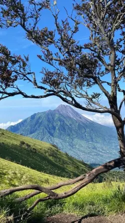 Itulah Naik Gunung 