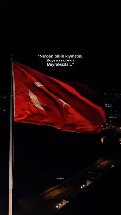 Nerde bilsin