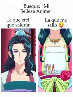 Mi belleza animé 