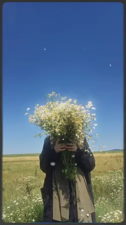foto estetik