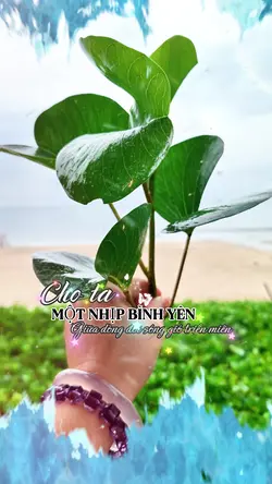 NHỊP BÌNH YÊN
