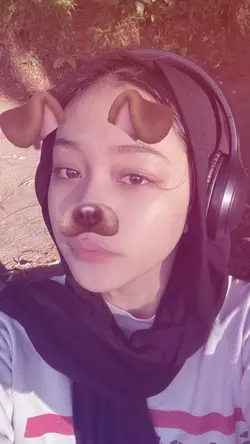 dog filter 2014