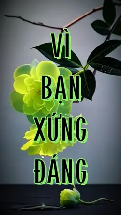 VÌ BẠN XỨNG ĐÁNG