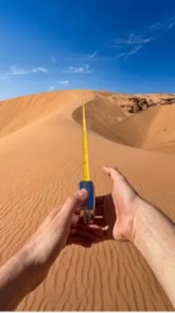 Popular Transitions