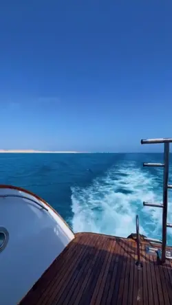 MiniVlog