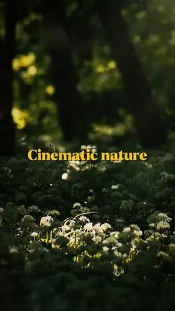 cinematic nature