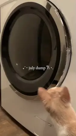 july dump 2024