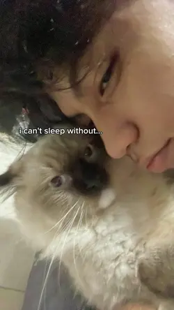 my favorite voice