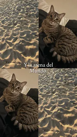 Con toda la sal..
