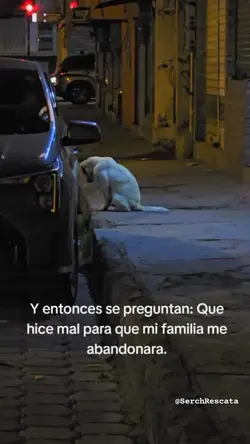 cuando te conocí