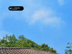 HD + JERNIH 