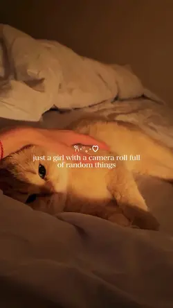 random things video