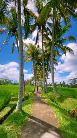 Nature vibes