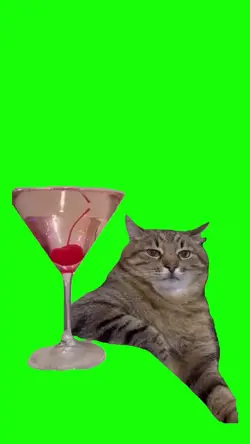 Depressed cat meme