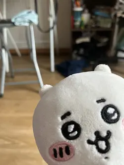 치이카와와 여행