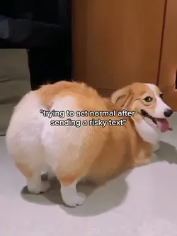 wobbily wiggily